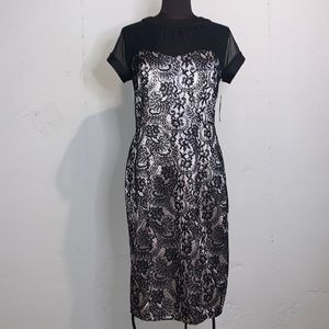 NWT En Focus Studio Dress